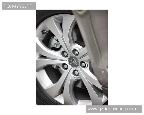 西安攀岩队的训练节奏与发展动态深度解析 西安攀岩队的训练节奏与发展动态深度解析