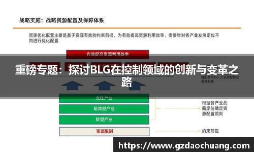 重磅专题：探讨BLG在控制领域的创新与变革之路