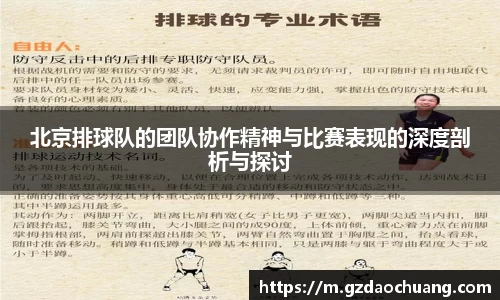 北京排球队的团队协作精神与比赛表现的深度剖析与探讨