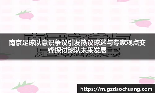 南京足球队意识争议引发热议球迷与专家观点交锋探讨球队未来发展