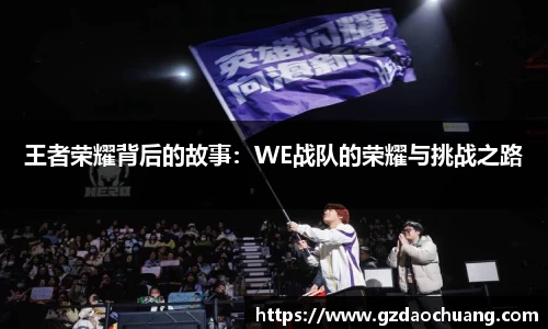 王者荣耀背后的故事：WE战队的荣耀与挑战之路