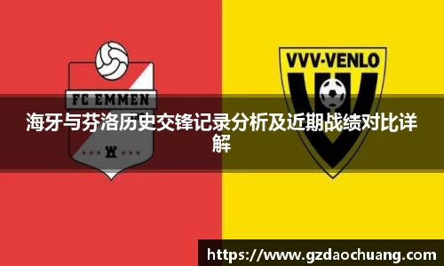 海牙与芬洛历史交锋记录分析及近期战绩对比详解